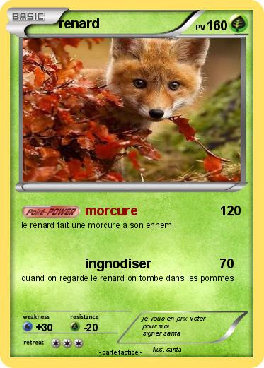 Pokemon renard