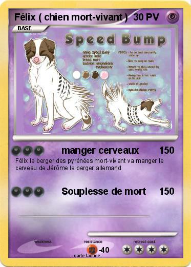 Pokemon Félix ( chien mort-vivant )