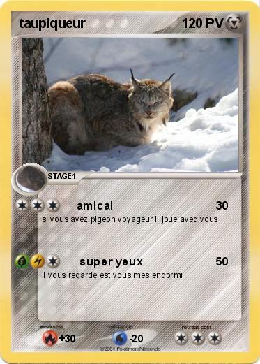 Pokemon taupiqueur