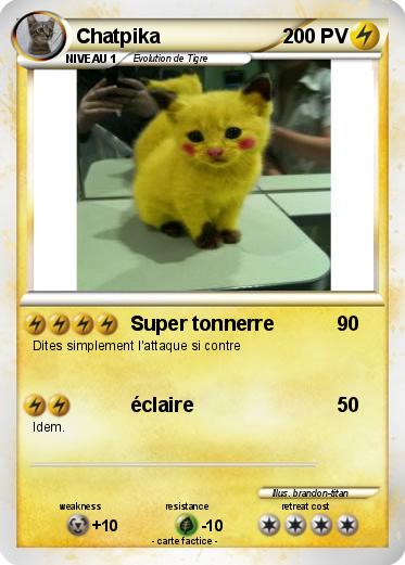 Pokemon Chatpika