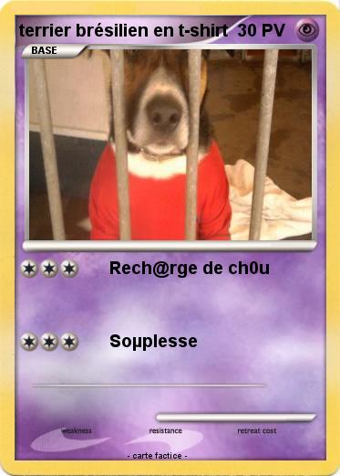 Pokemon terrier brésilien en t-shirt
