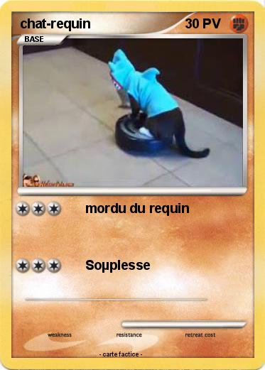 Pokemon chat-requin