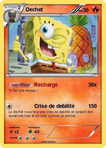 Pokemon Dechet