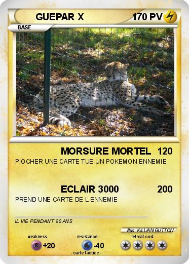 Pokemon GUEPAR X