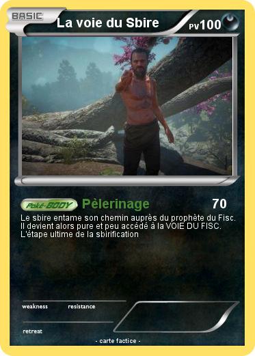 Pokemon La voie du Sbire