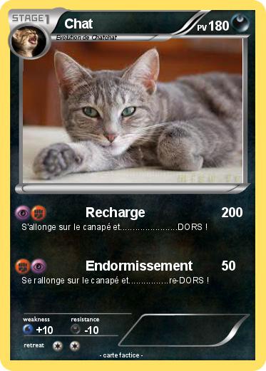 Pokemon Chat