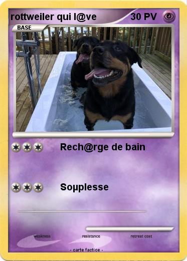 Pokemon rottweiler qui l@ve