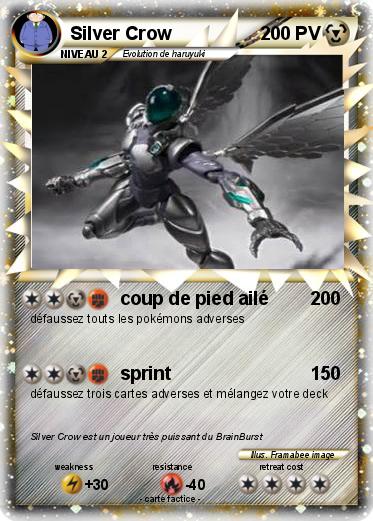 Pokemon Silver Crow