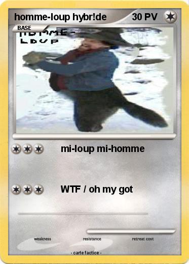 Pokemon homme-loup hybr!de
