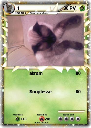 Pokemon 1