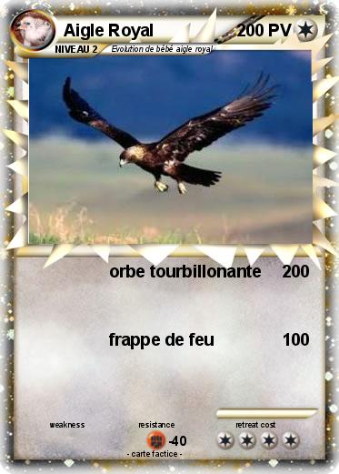 Pokemon Aigle Royal