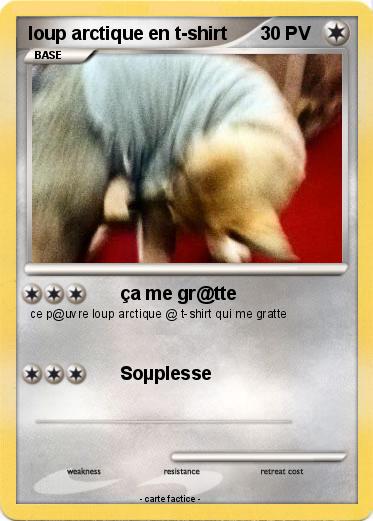 Pokemon loup arctique en t-shirt