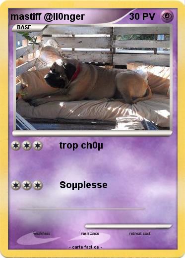 Pokemon mastiff @ll0nger