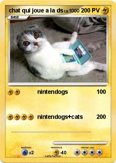 Pokemon chat qui joue a la ds