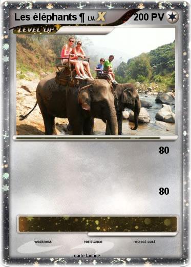 Pokemon Les éléphants ¶