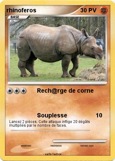 Pokemon rhinoferos