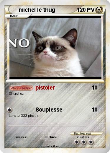 Pokemon michel le thug