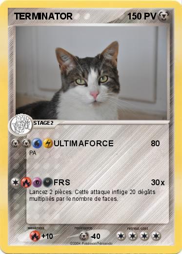 Pokemon TERMINATOR