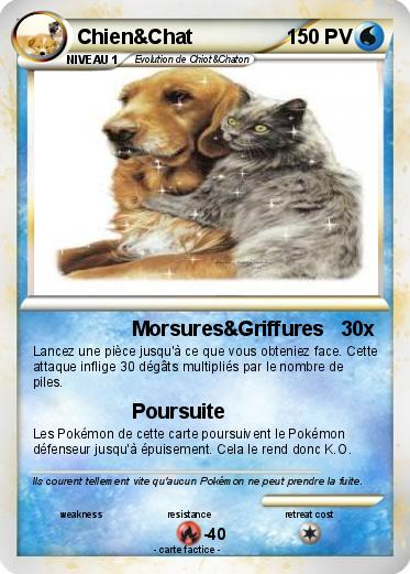 Pokemon Chien&Chat