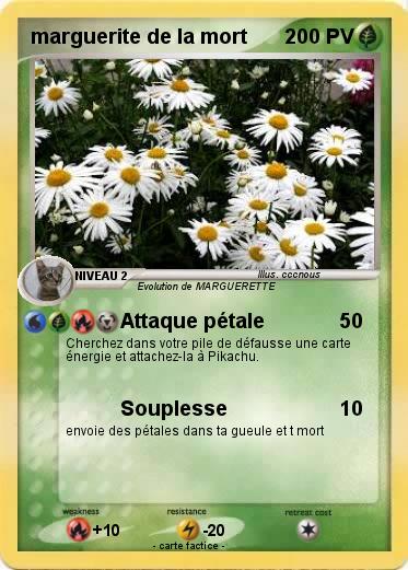 Pokemon marguerite de la mort