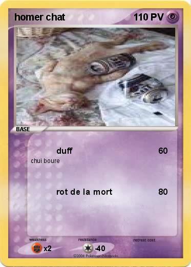 Pokemon homer chat