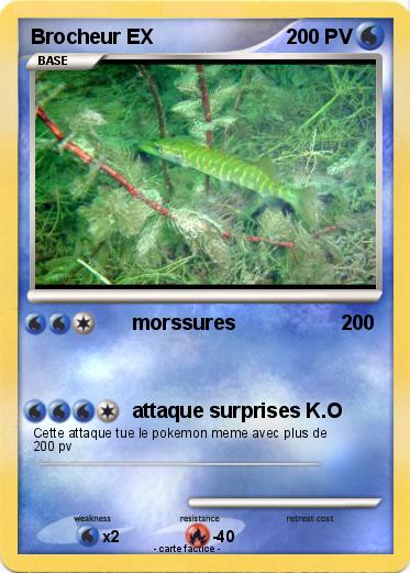 Pokemon Brocheur EX