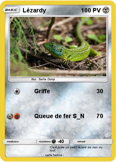 Pokemon Lézardy