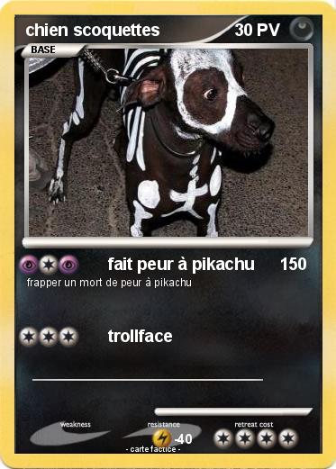 Pokemon chien scoquettes