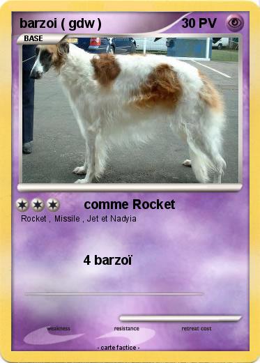 Pokemon barzoi ( gdw )