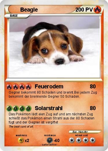 Pokemon Beagle