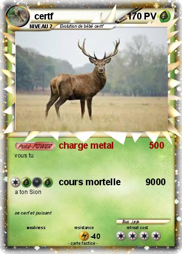 Pokemon certf