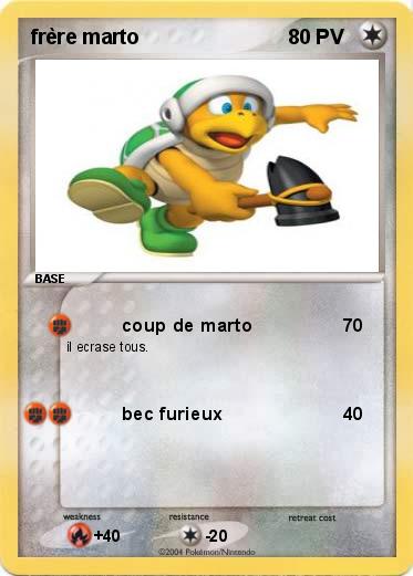 Pokemon frère marto