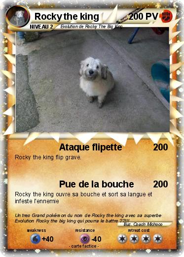 Pokemon Rocky the king