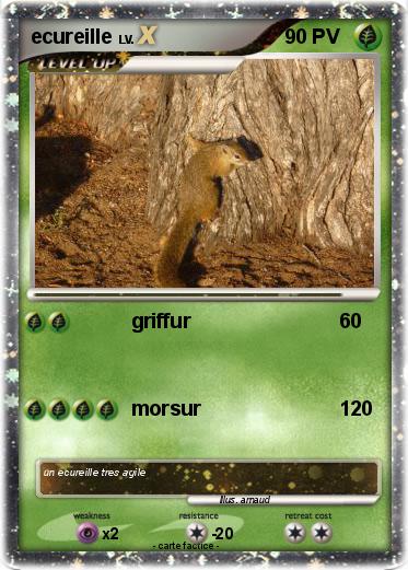 Pokemon ecureille