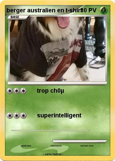 Pokemon berger australien en t-shirt