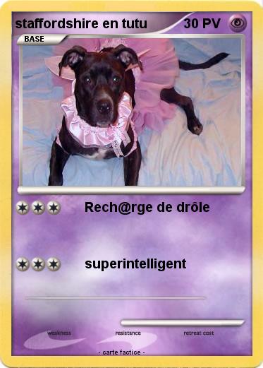 Pokemon staffordshire en tutu
