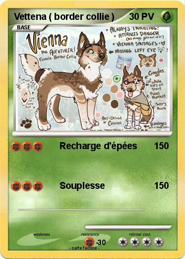 Pokemon Vettena ( border collie )