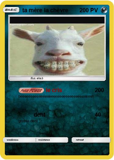 Pokemon ta mère la chèvre