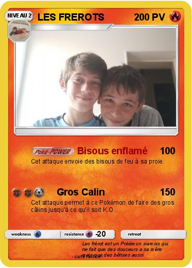 Pokemon LES FREROTS