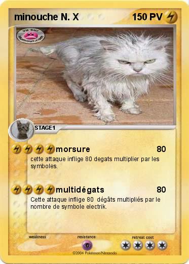 Pokemon minouche N. X
