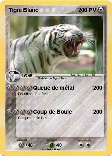 Pokemon Tigre Blanc