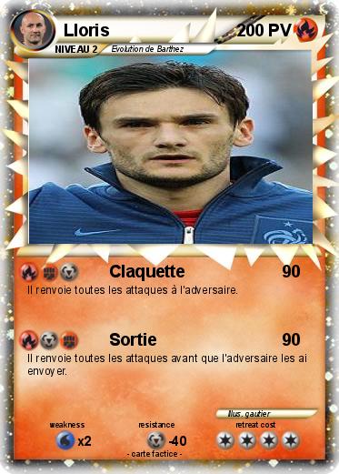 Pokemon Lloris