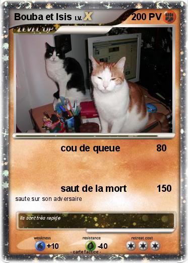 Pokemon Bouba et Isis