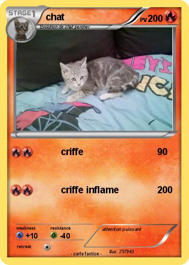 Pokemon chat