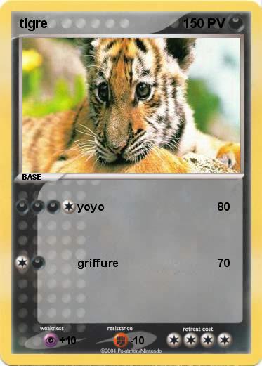 Pokemon tigre