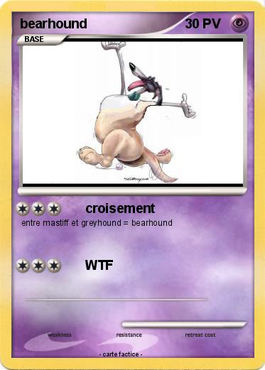 Pokemon bearhound