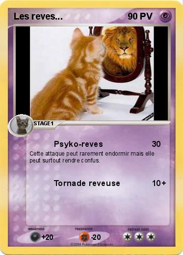 Pokemon Les reves...