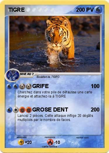 Pokemon TIGRE