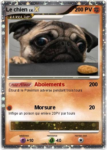 Pokemon Le chien