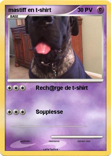 Pokemon mastiff en t-shirt